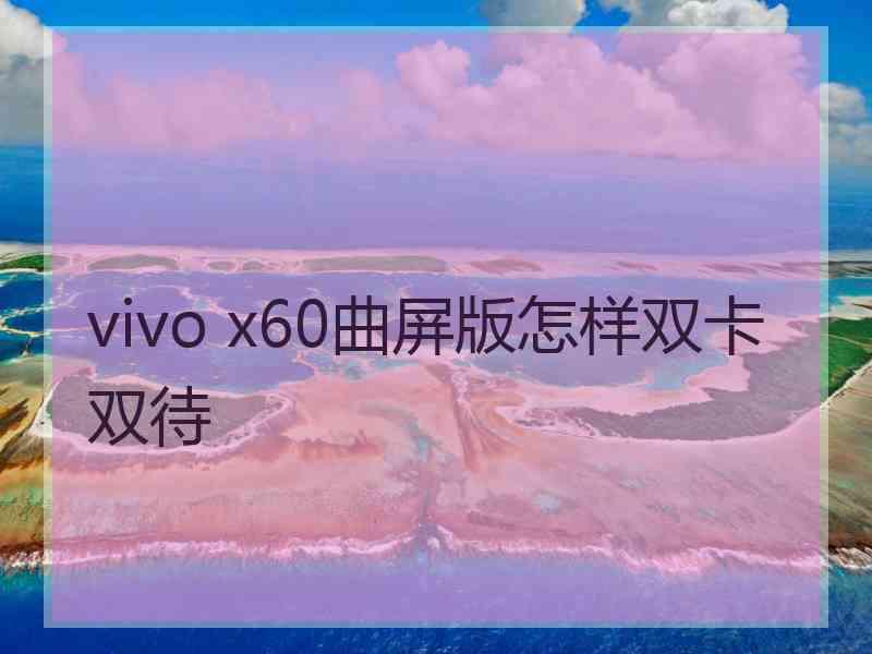 vivo x60曲屏版怎样双卡双待