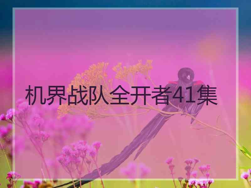 机界战队全开者41集