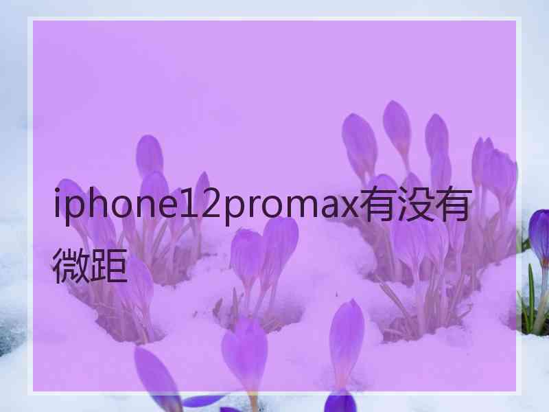 iphone12promax有没有微距