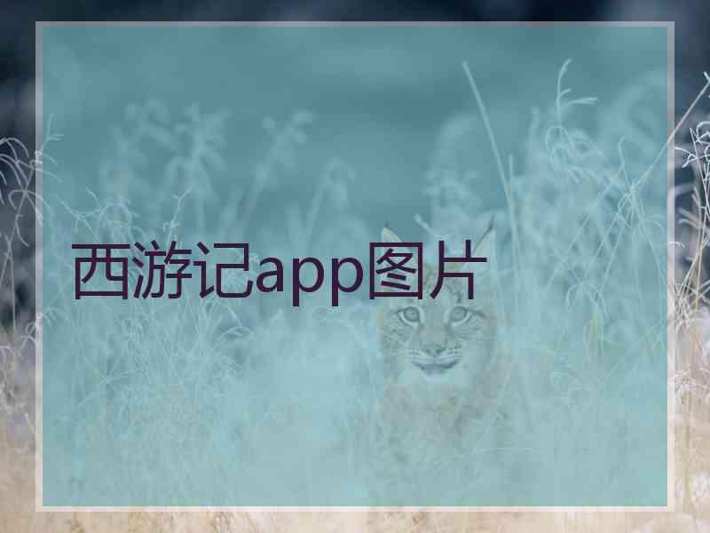 西游记app图片