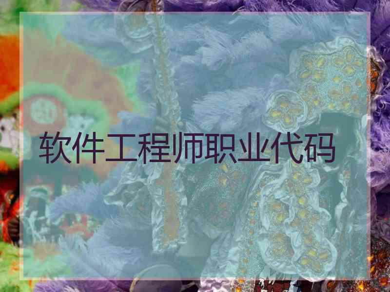 软件工程师职业代码