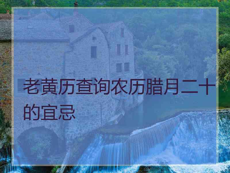 老黄历查询农历腊月二十的宜忌