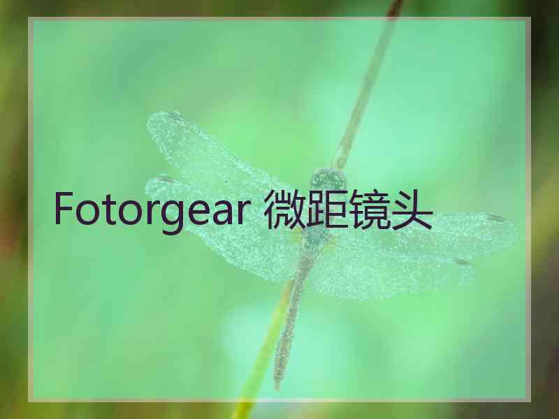 Fotorgear 微距镜头