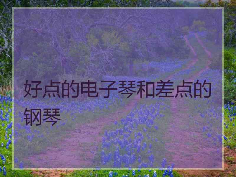 好点的电子琴和差点的钢琴