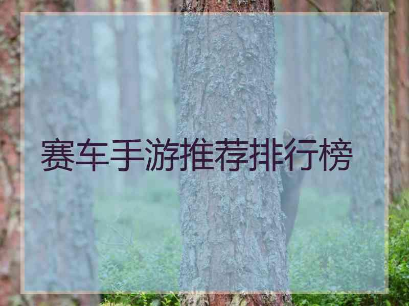 赛车手游推荐排行榜