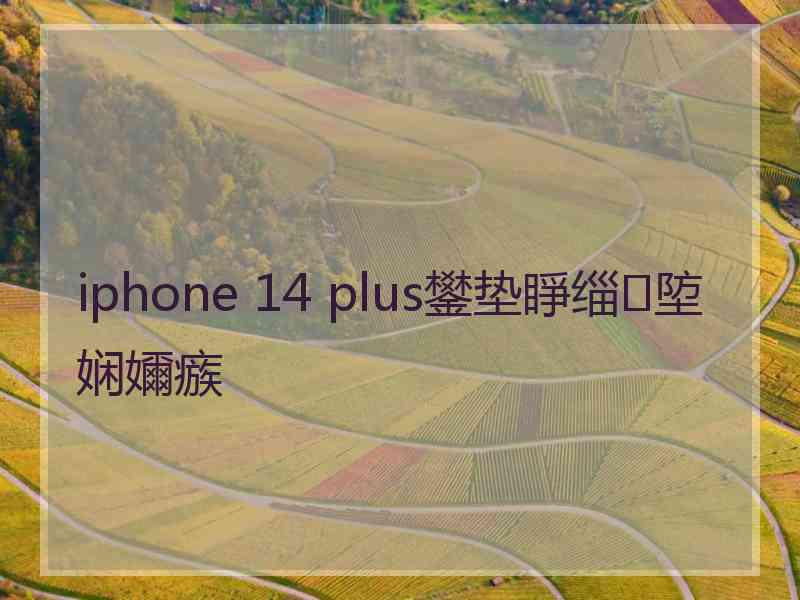 iphone 14 plus鐢垫睜缁埅娴嬭瘯