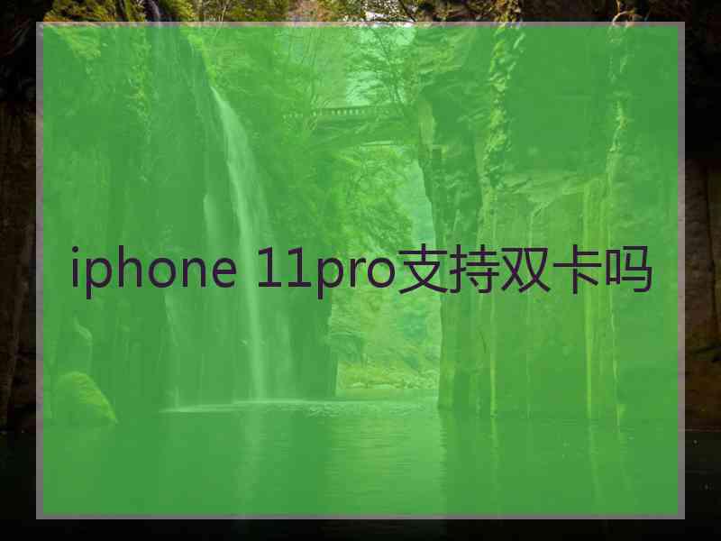 iphone 11pro支持双卡吗