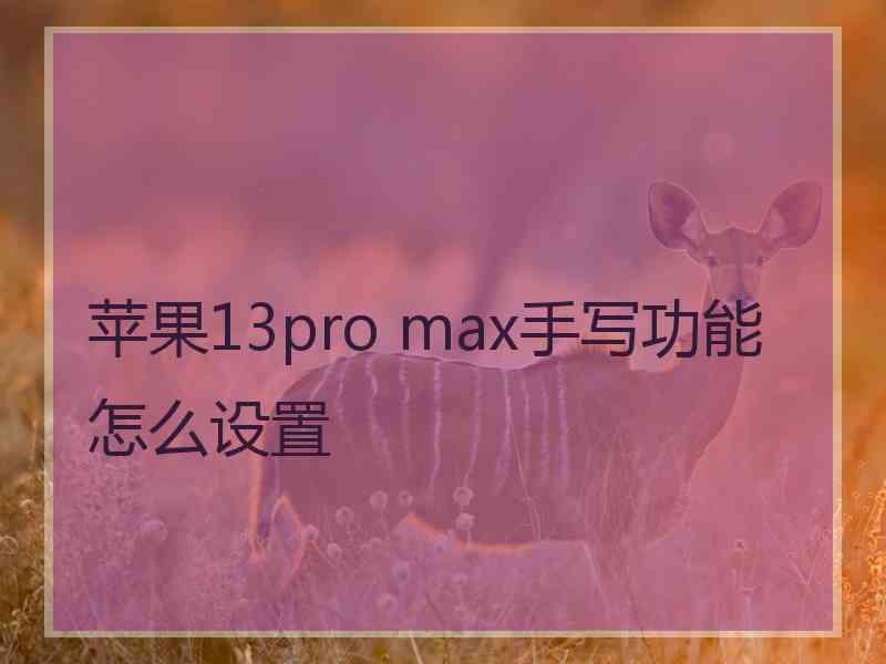 苹果13pro max手写功能怎么设置