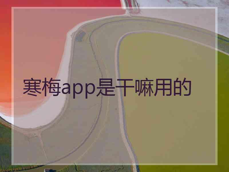 寒梅app是干嘛用的