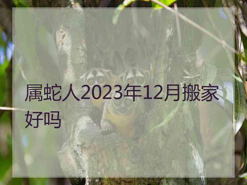 属蛇人2023年12月搬家好吗