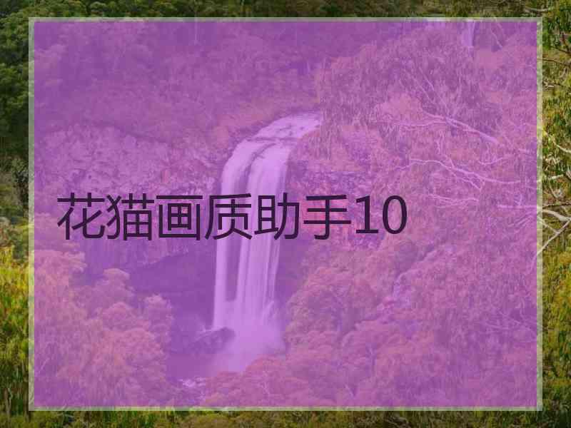 花猫画质助手10