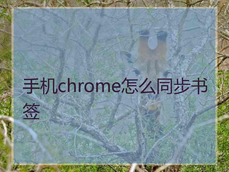 手机chrome怎么同步书签