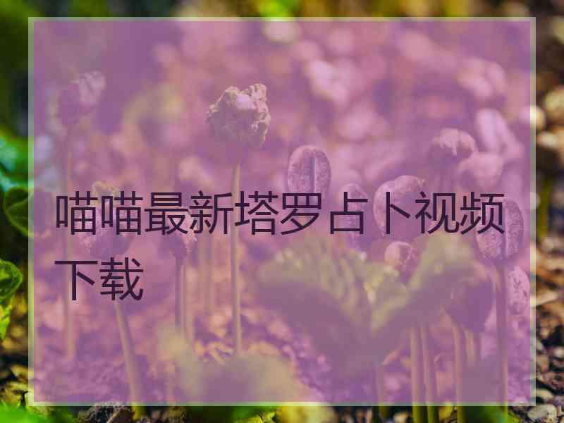 喵喵最新塔罗占卜视频下载