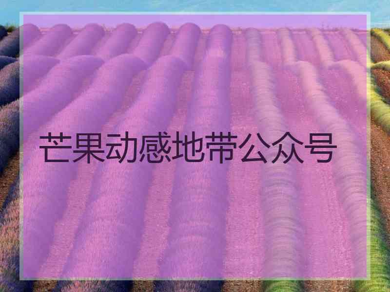 芒果动感地带公众号