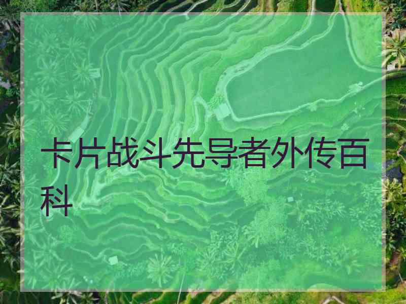 卡片战斗先导者外传百科