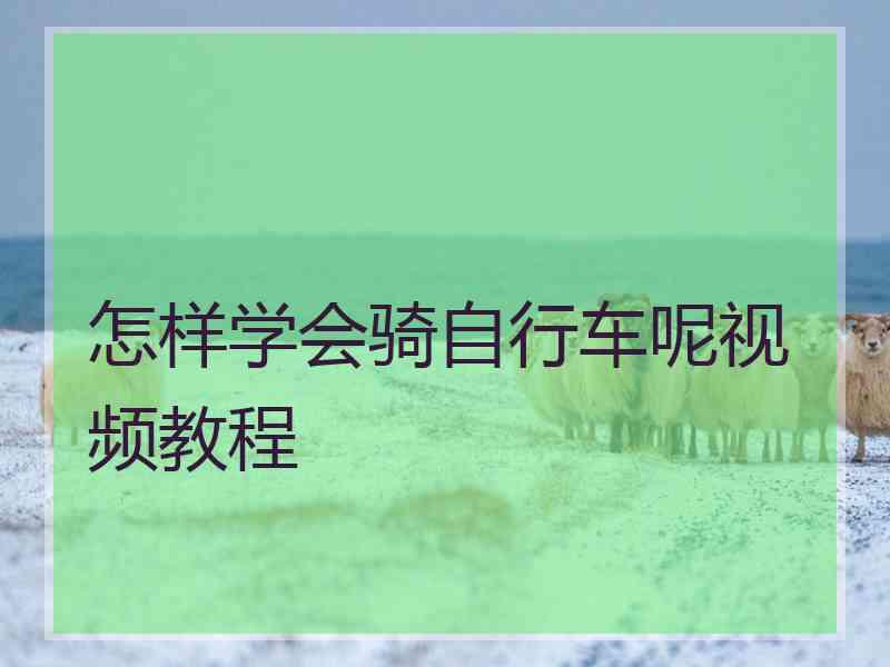 怎样学会骑自行车呢视频教程