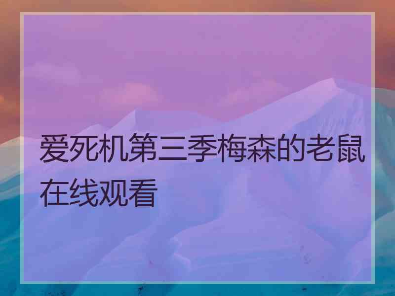 爱死机第三季梅森的老鼠在线观看