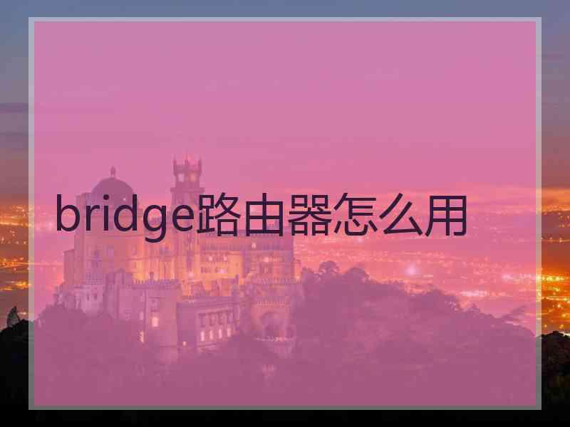 bridge路由器怎么用