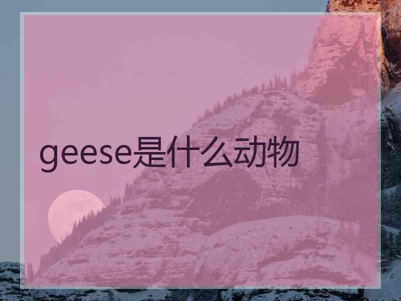 geese是什么动物