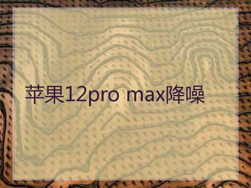 苹果12pro max降噪