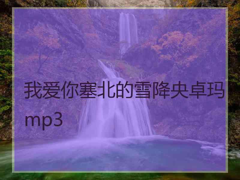 我爱你塞北的雪降央卓玛mp3