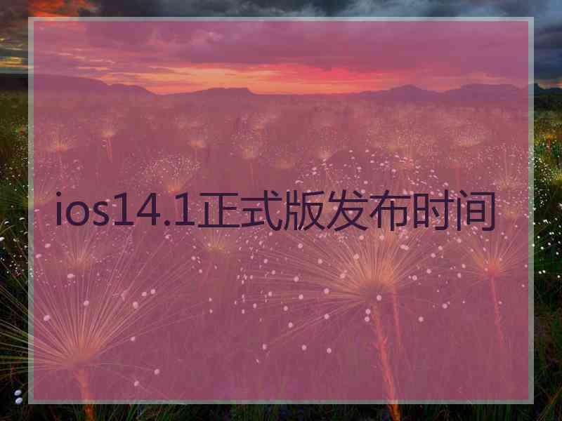 ios14.1正式版发布时间