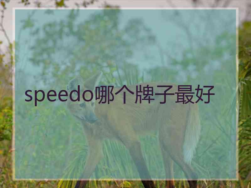 speedo哪个牌子最好