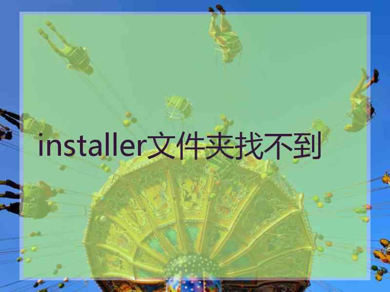 installer文件夹找不到