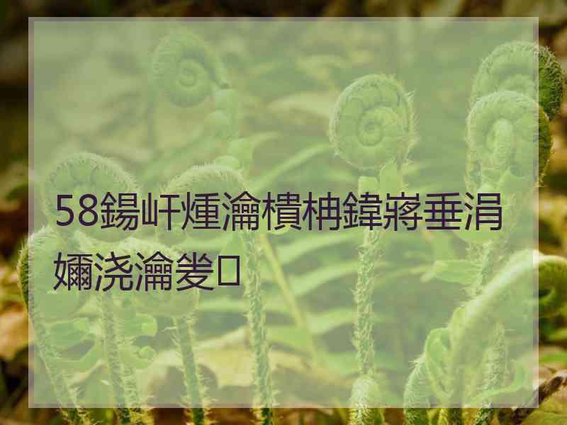 58鍚屽煄瀹樻柟鍏嶈垂涓嬭浇瀹夎