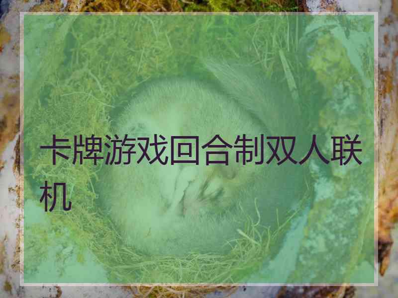 卡牌游戏回合制双人联机