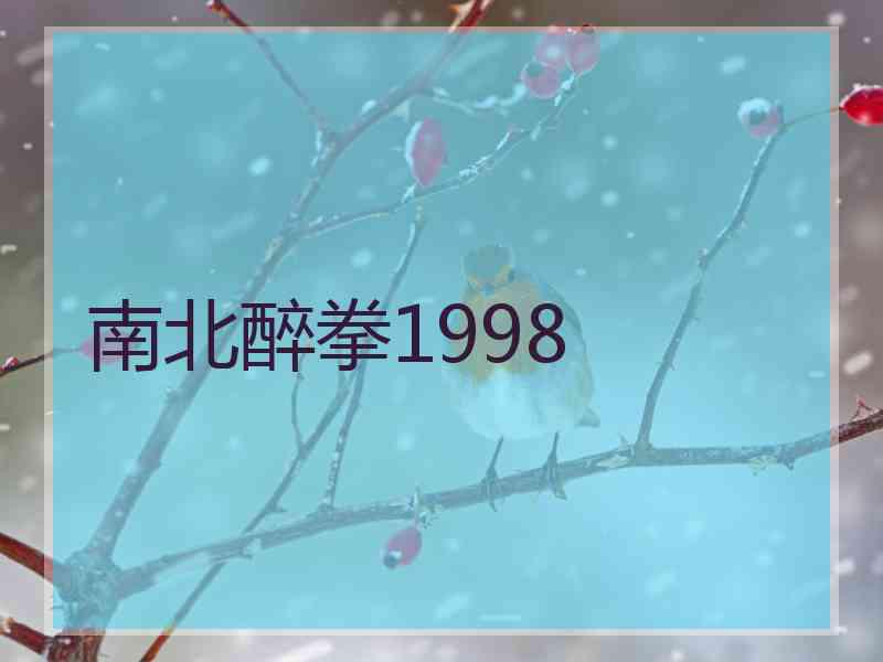 南北醉拳1998