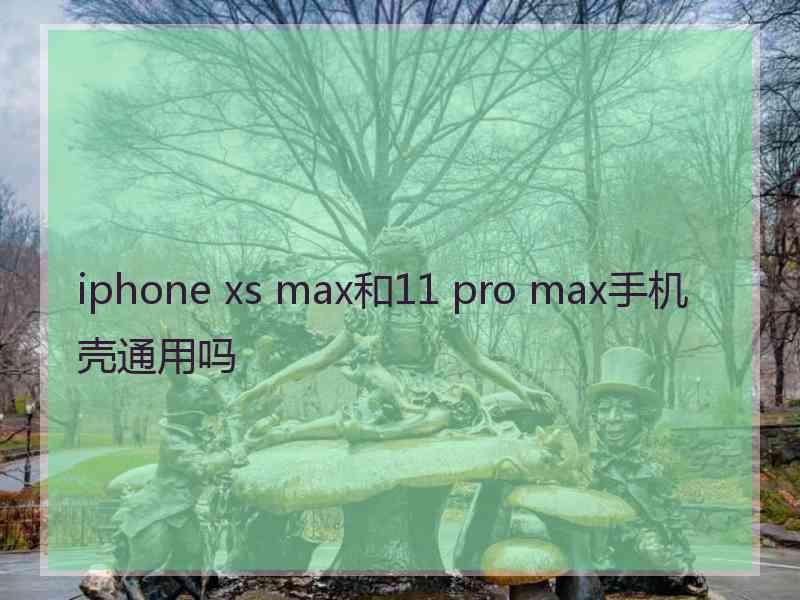 iphone xs max和11 pro max手机壳通用吗