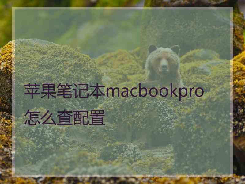 苹果笔记本macbookpro怎么查配置