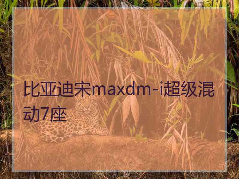 比亚迪宋maxdm-i超级混动7座