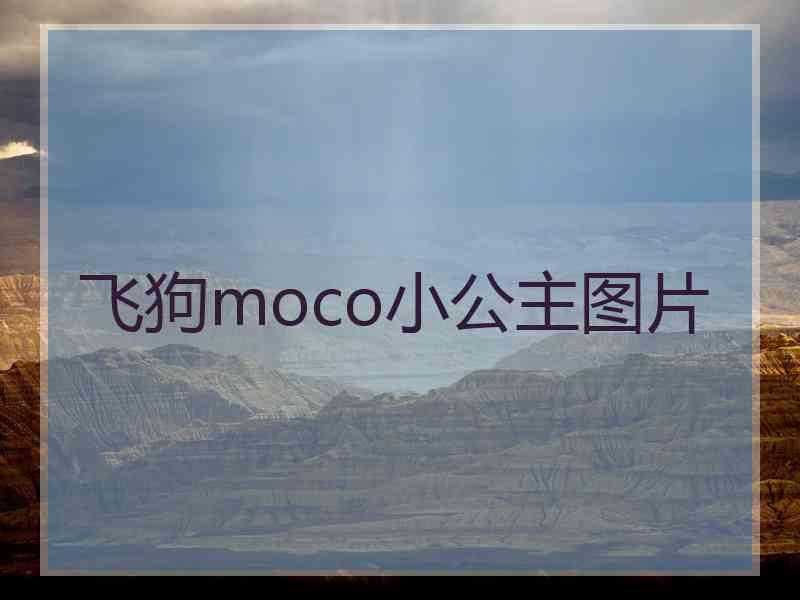 飞狗moco小公主图片