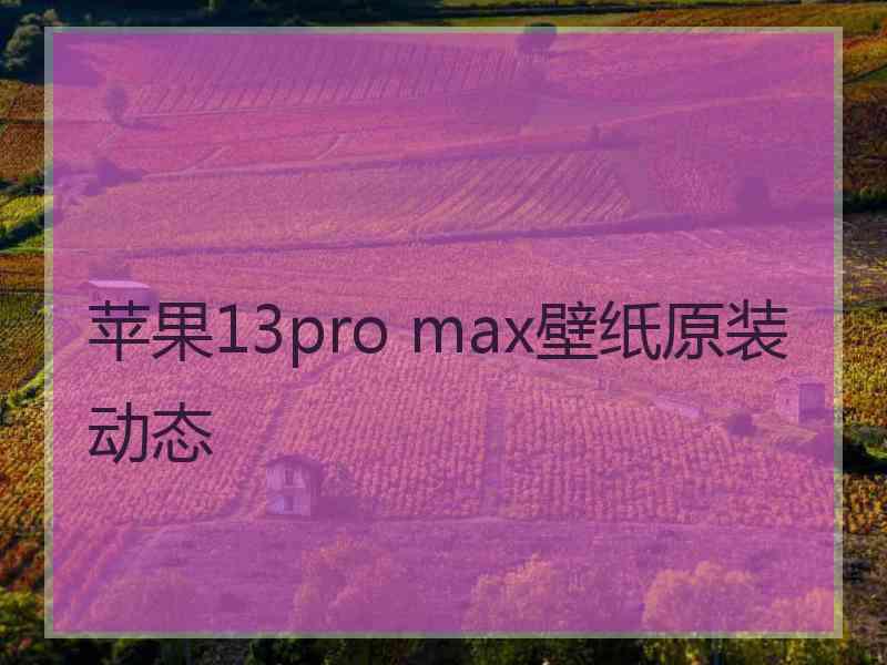 苹果13pro max壁纸原装动态