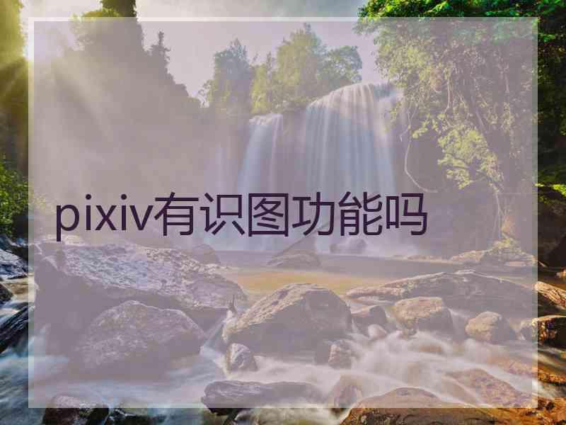 pixiv有识图功能吗