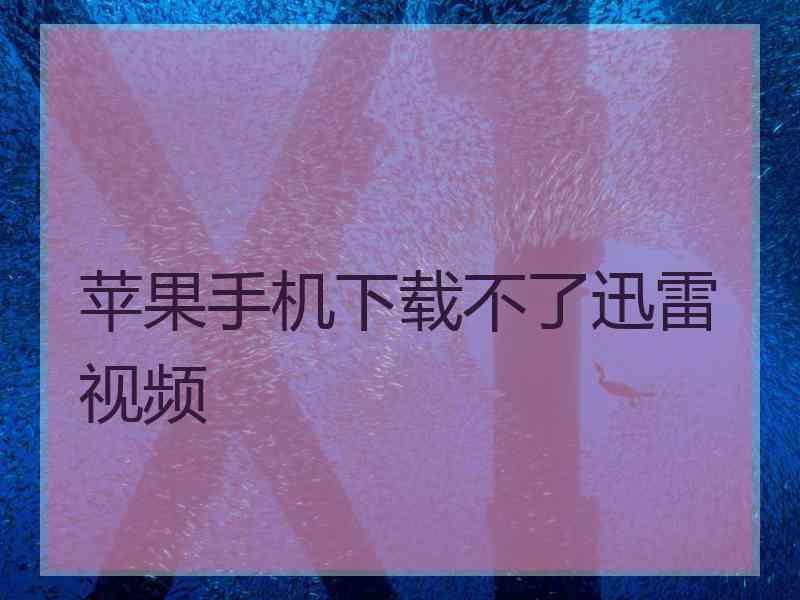 苹果手机下载不了迅雷视频