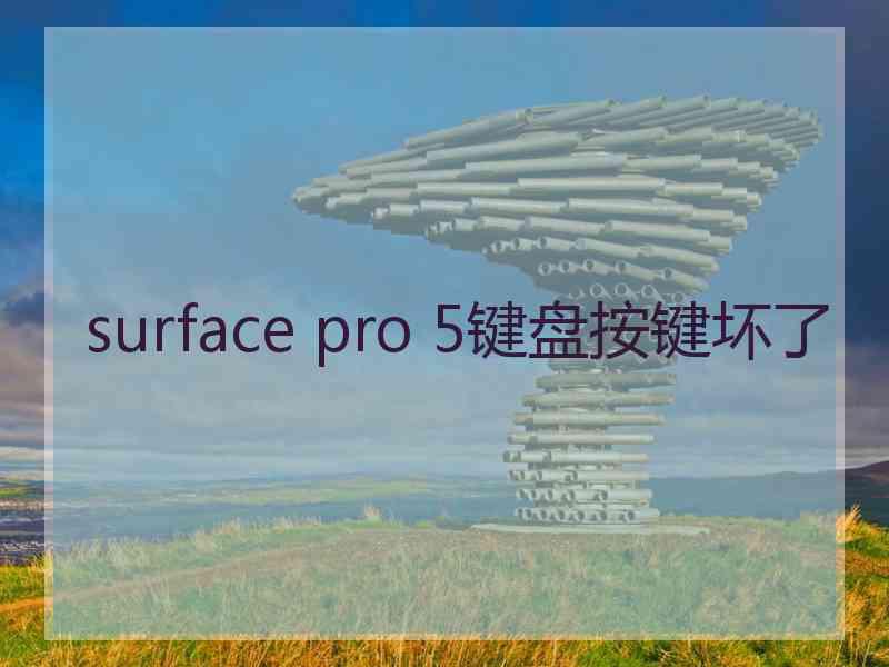 surface pro 5键盘按键坏了