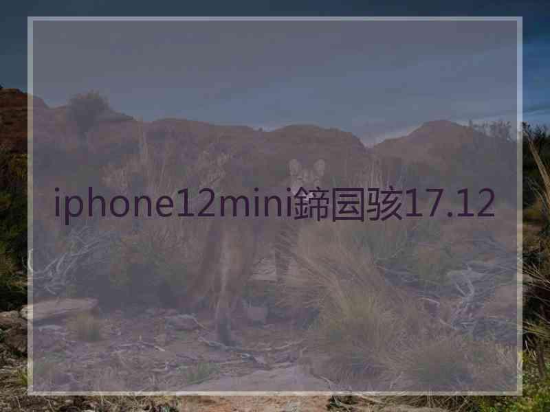 iphone12mini鍗囩骇17.12