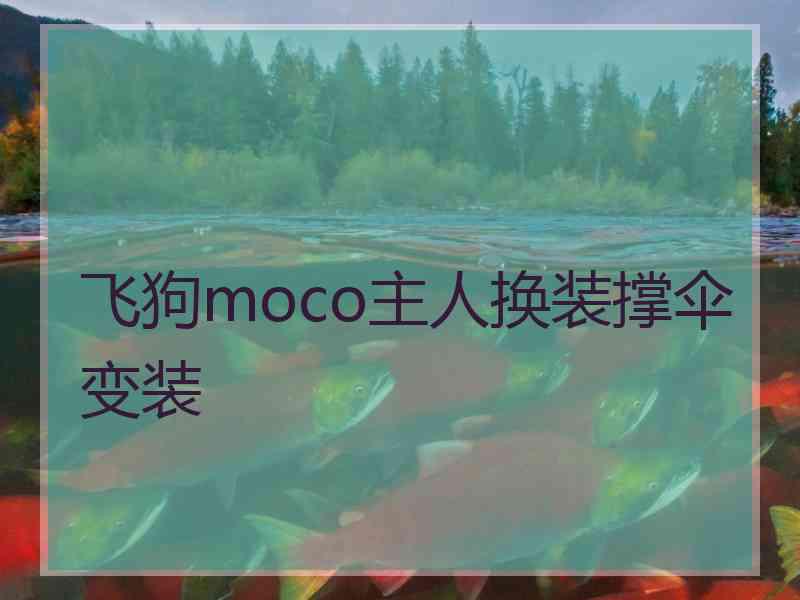 飞狗moco主人换装撑伞变装