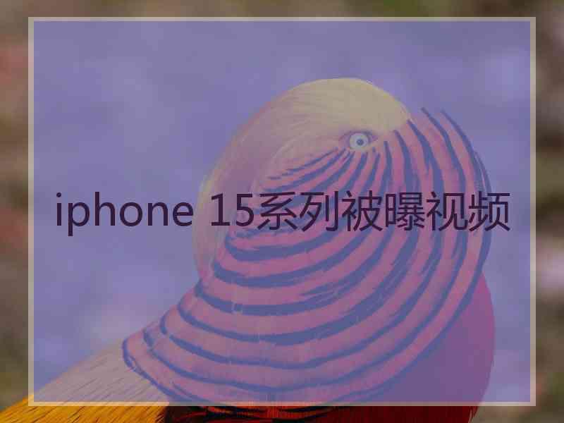 iphone 15系列被曝视频