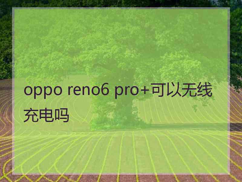 oppo reno6 pro+可以无线充电吗