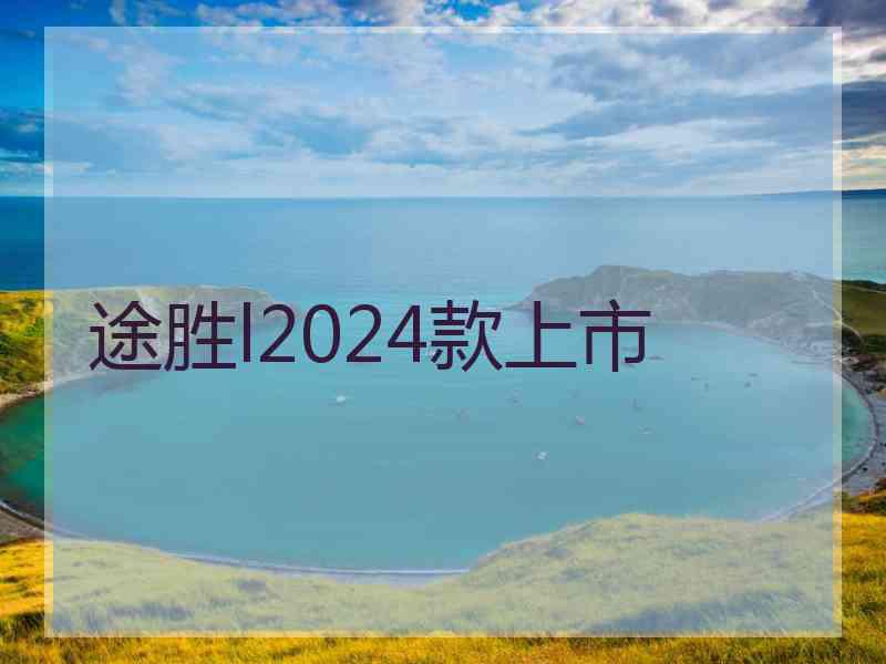 途胜l2024款上市