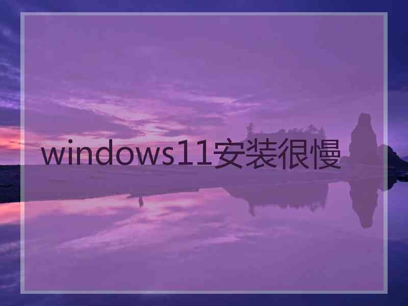 windows11安装很慢