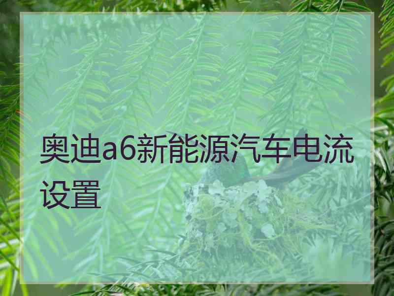 奥迪a6新能源汽车电流设置