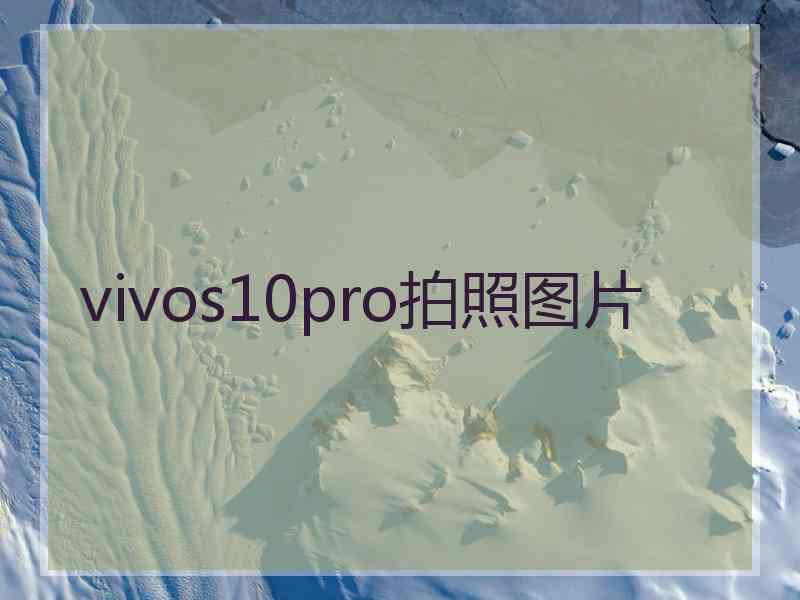 vivos10pro拍照图片