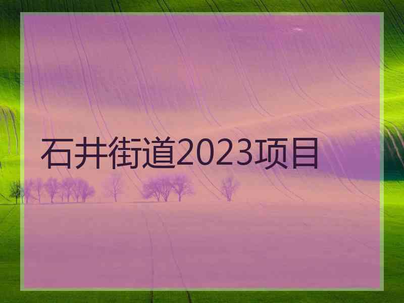 石井街道2023项目