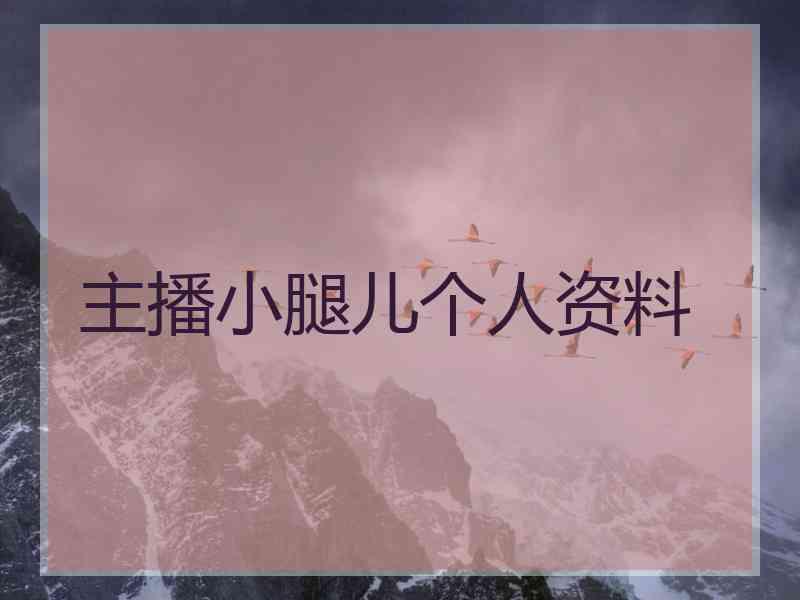 主播小腿儿个人资料