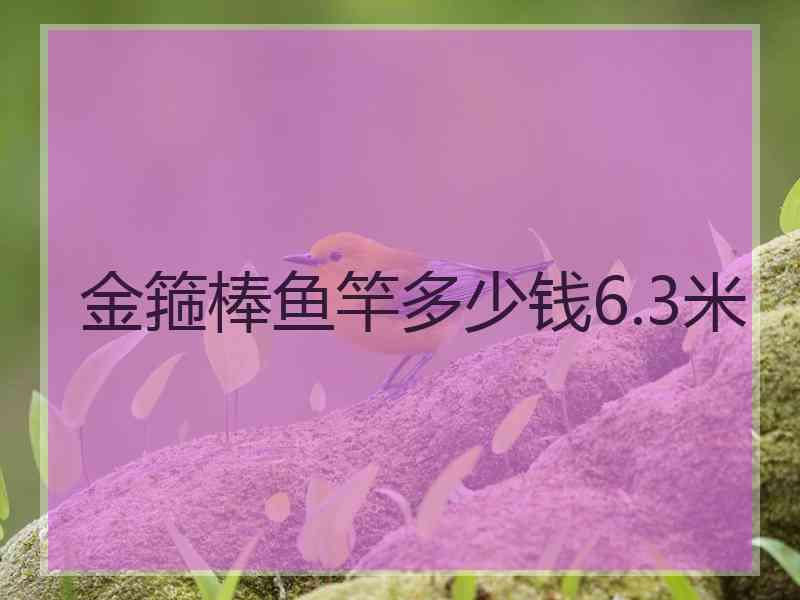 金箍棒鱼竿多少钱6.3米